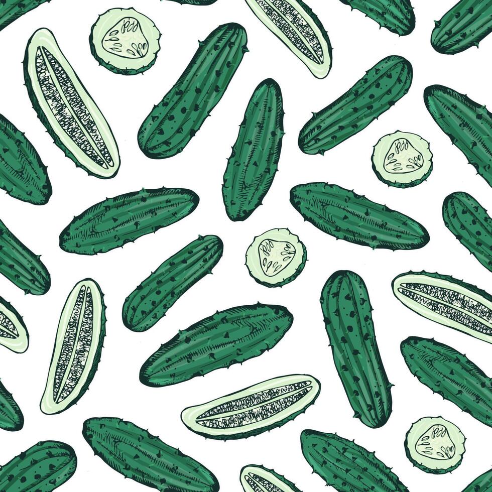 Seamless pattern with whole and cut fresh ripe cucumbers. Backdrop with vegetable, delicious vegetarian snack. Hand drawn realistic illustration for textile print, wrapping paper, wallpaper. vector