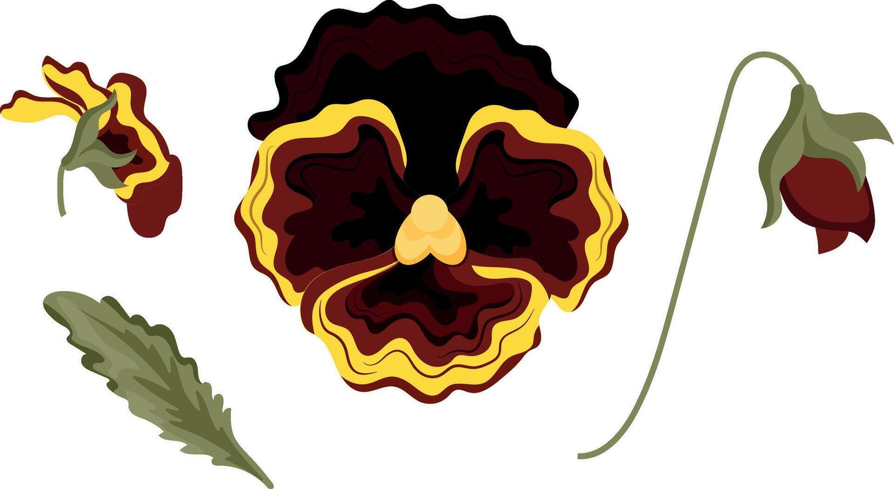 set of icons of various yellow pansy buds and green leaves, for various designs vector