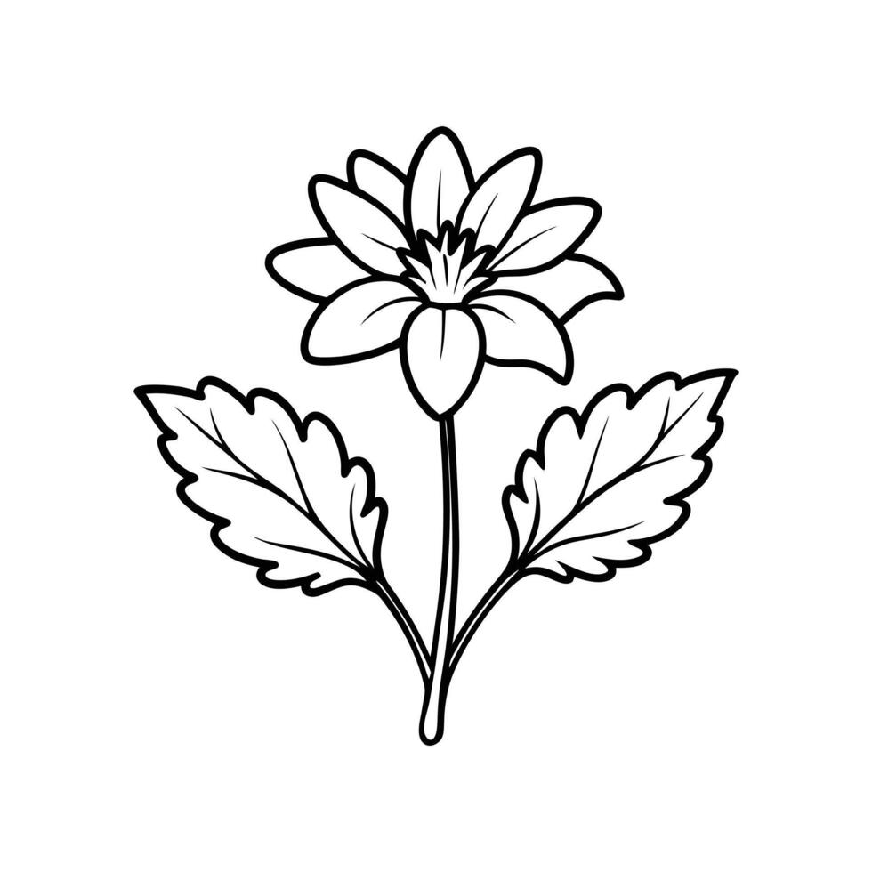 Celandine Flower Illustration on White Background Botanical Floral Artwork vector