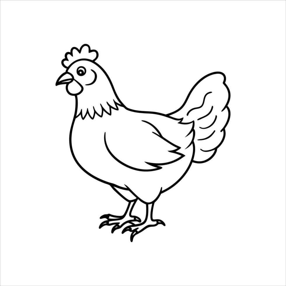 Chicken Illustration on White Background Farm Animal vector