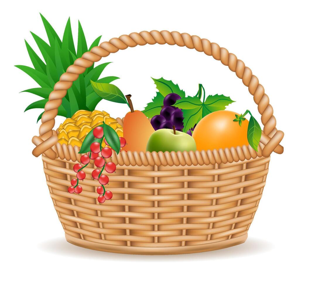 wicker basket with fruits illustration isolated white background vector