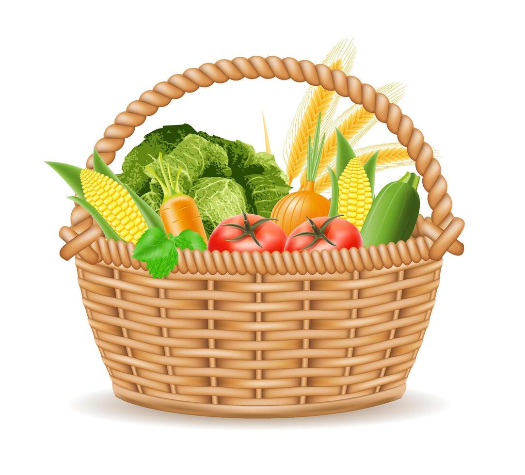 wicker basket with vegetables illustration isolated on white background vector