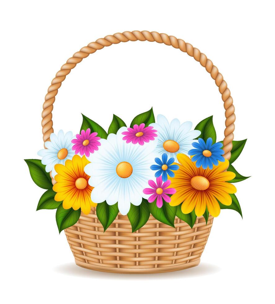 wicker basket with flowers illustration isolated on white background vector