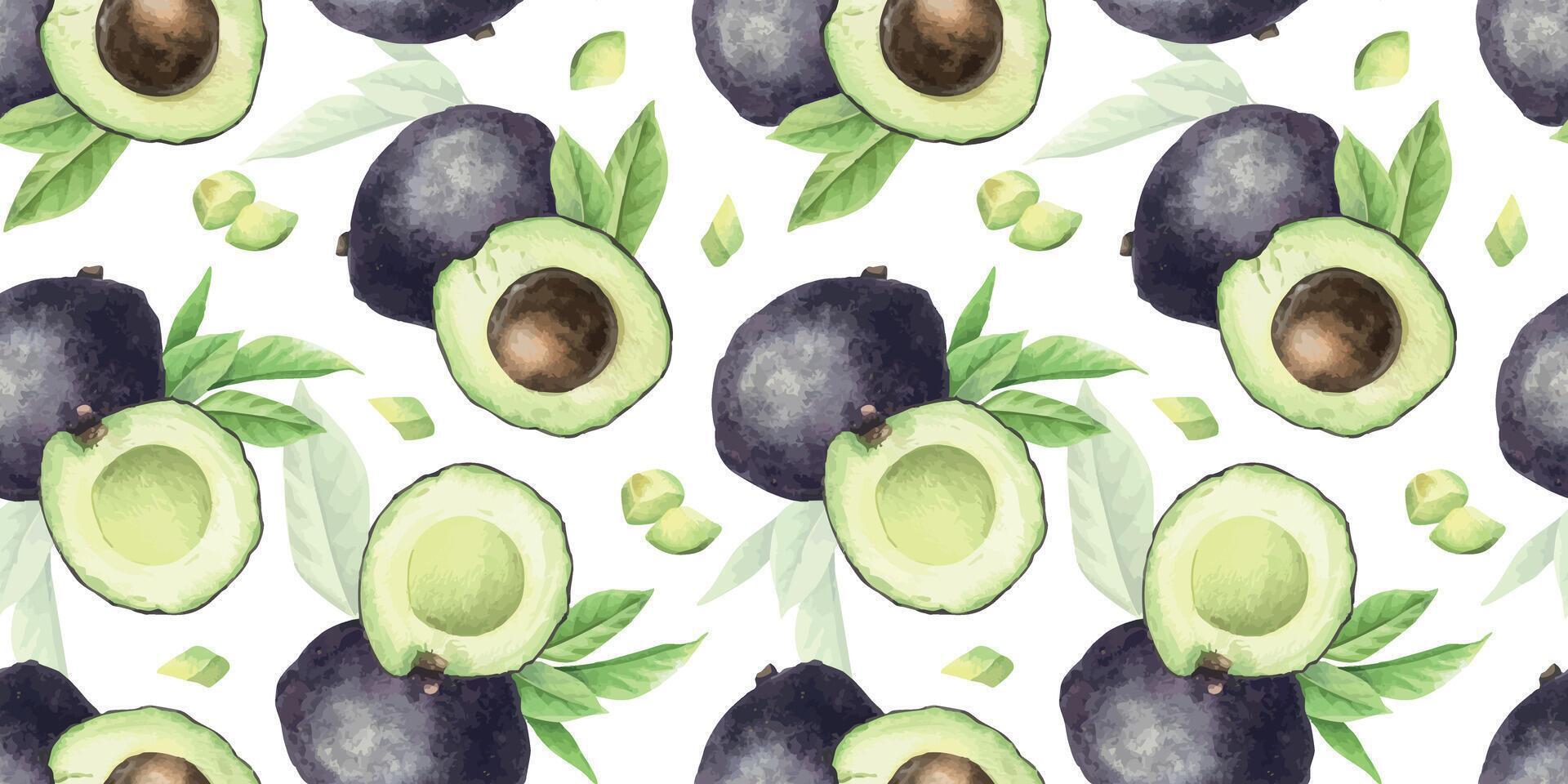 Watercolor seamless pattern of illustrations Hass avocado whole, halves fruits, slices and leaves. Background of ripe avocado Vegetables for menu, packaging of food, cosmetics, fabrics, cards, recipe vector