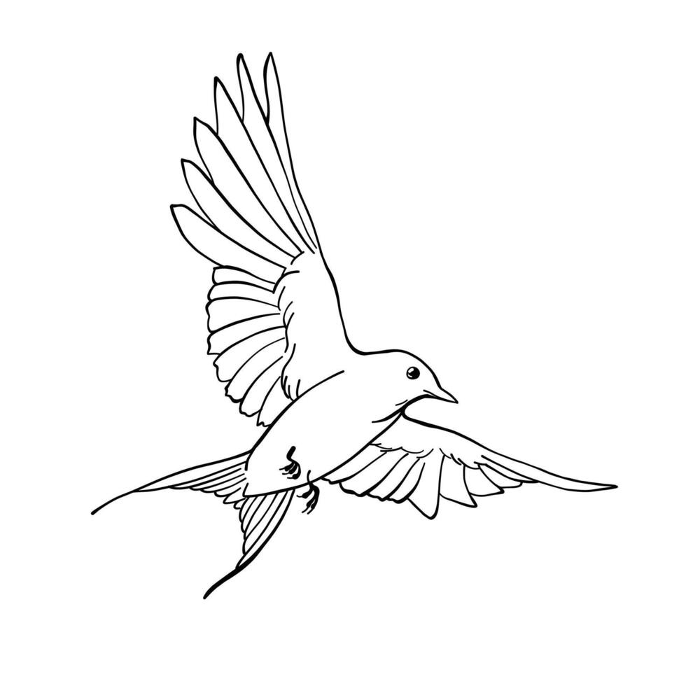 Elegant line art illustration silhouette of flying swallows, beautiful clip art collection of spring birds logo, outline hand drawn Sketch isolated on white background, freedom concept, nature theme vector