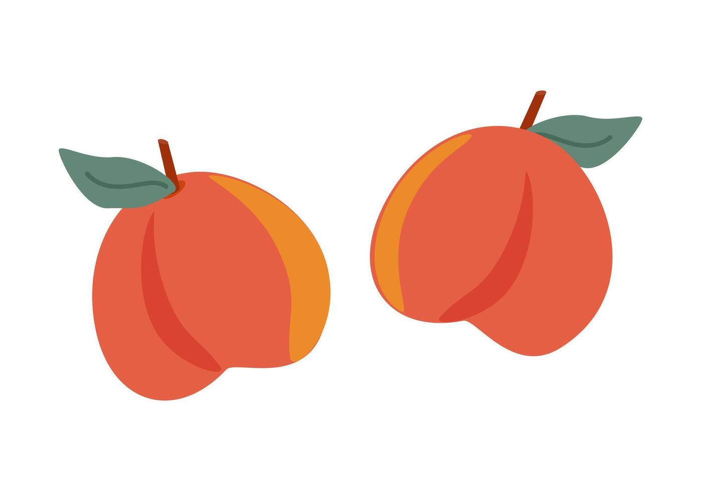 Ripe fruits peaches with leaves vector