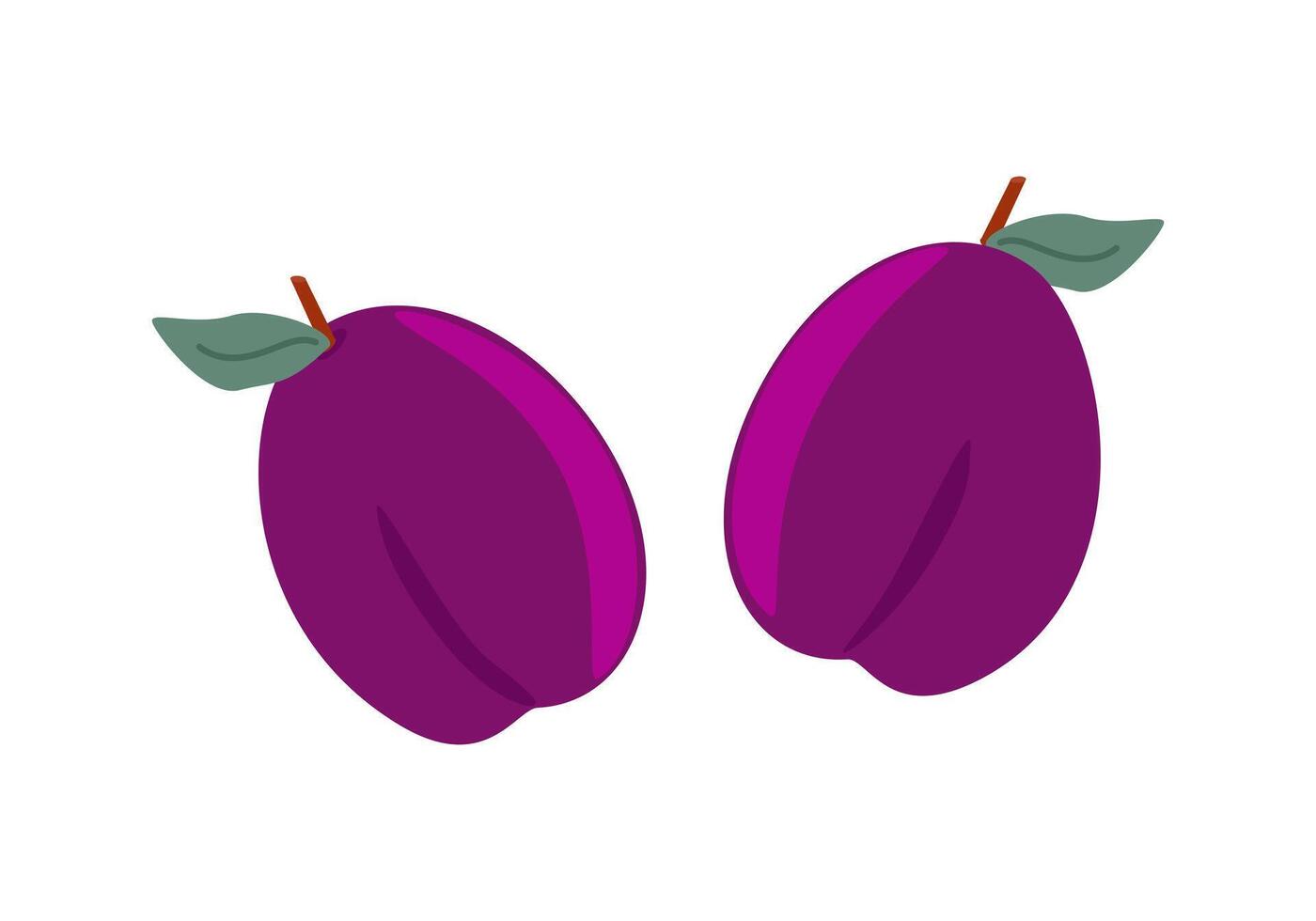 Ripe fruits plums with leaves vector