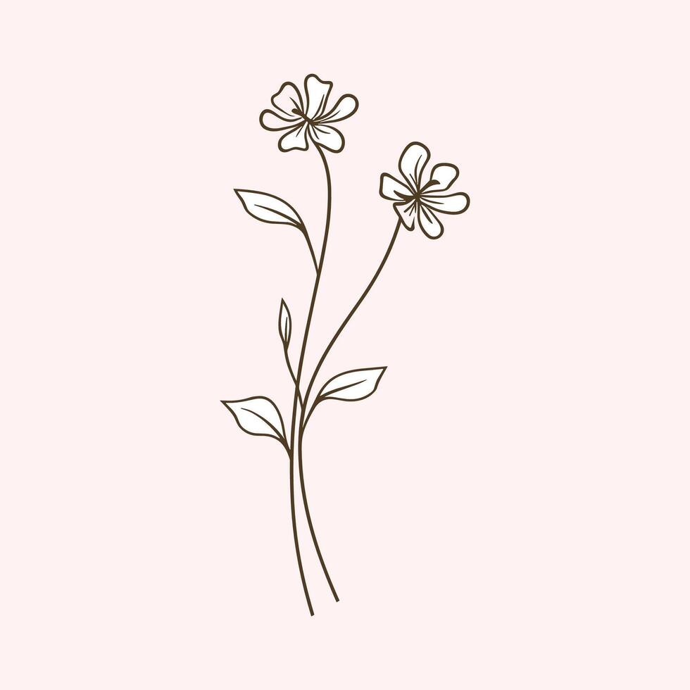Handcrafted Botanical Illustrations in a Delicate Sketch Style vector
