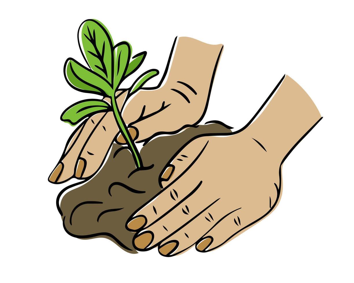 Hands gently planting a small green seedling into the soil. The illustration represents growth, sustainability, and environmental care vector