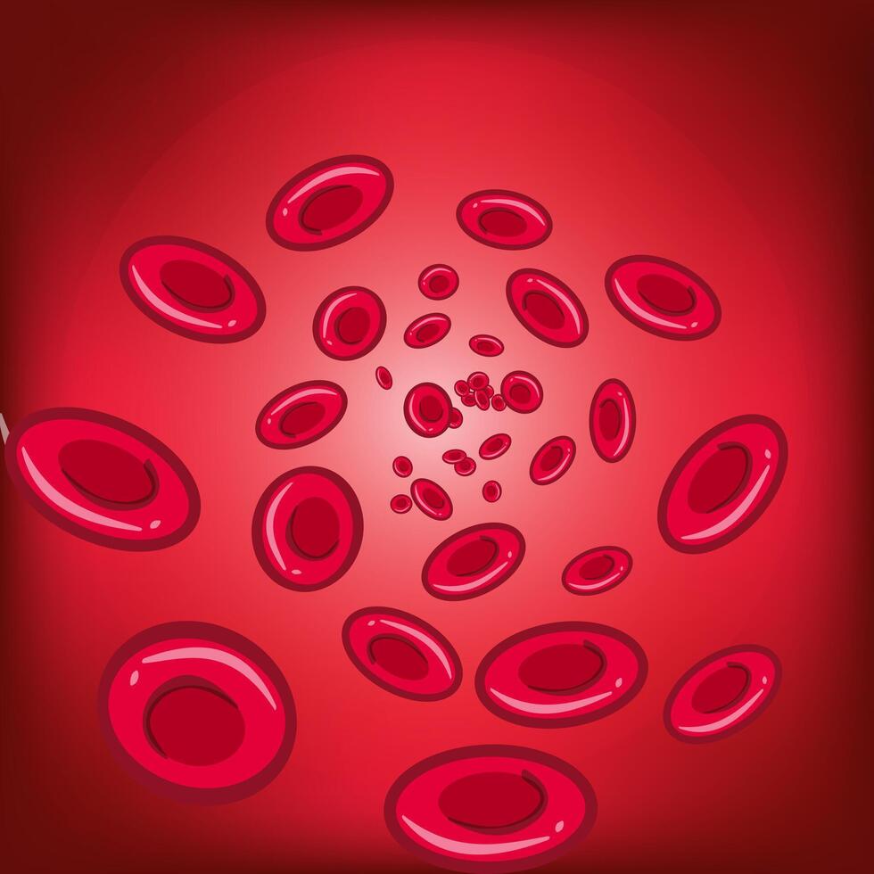 Movement of red blood cells in an artery. Scientific 3D illustration vector