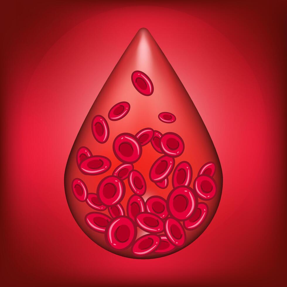 Medical concept of hemophilia. Concept of blood donation. A drop of blood from red blood cells vector