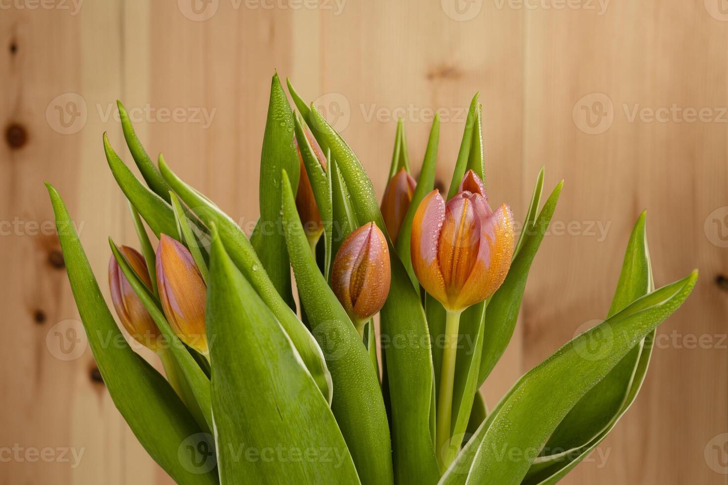 bouquet of tulips on a wooden background, close up photo
