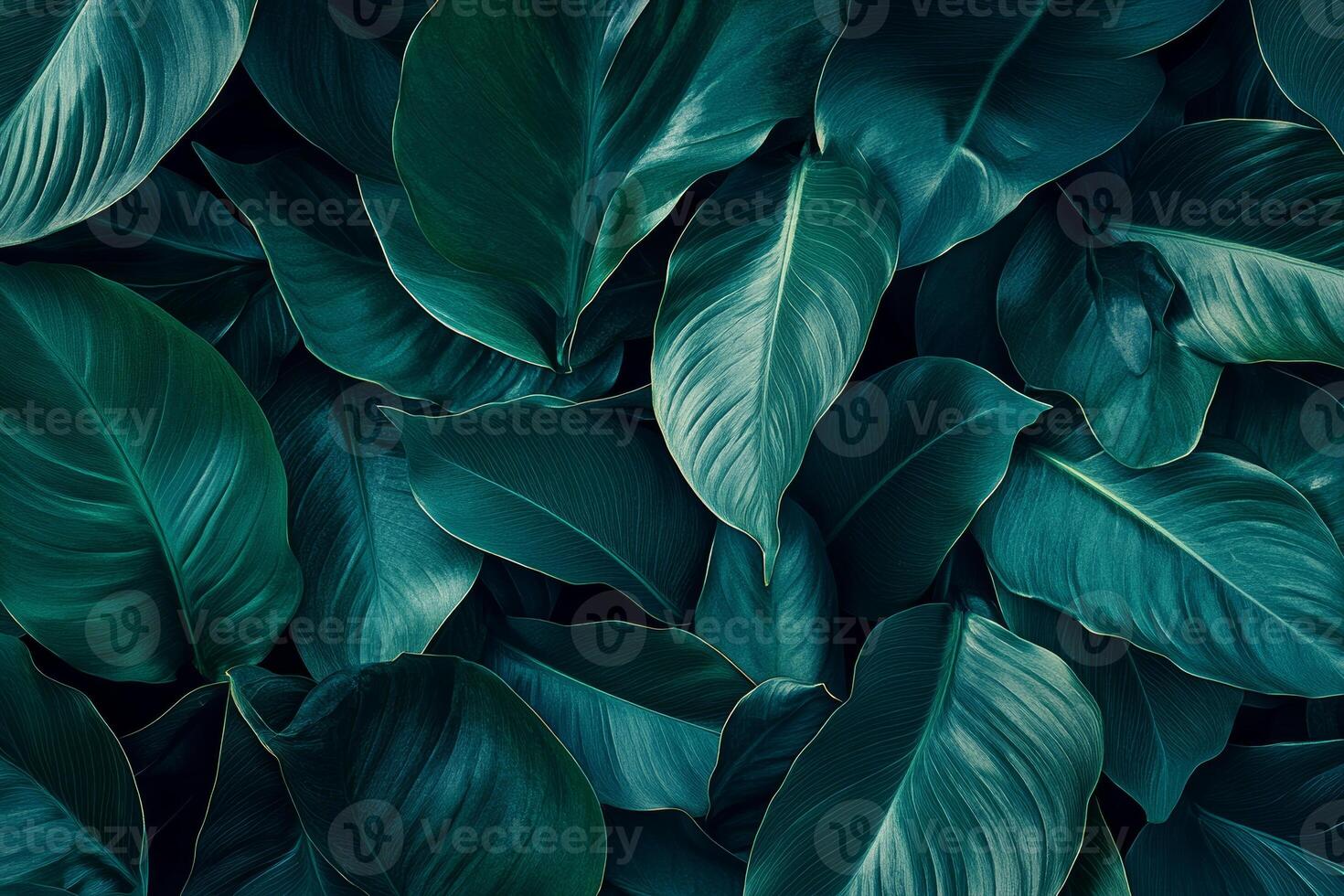 Lush green leaves create vibrant and calming background, showcasing various shapes and textures. Perfect for nature themed designs or botanical projects photo