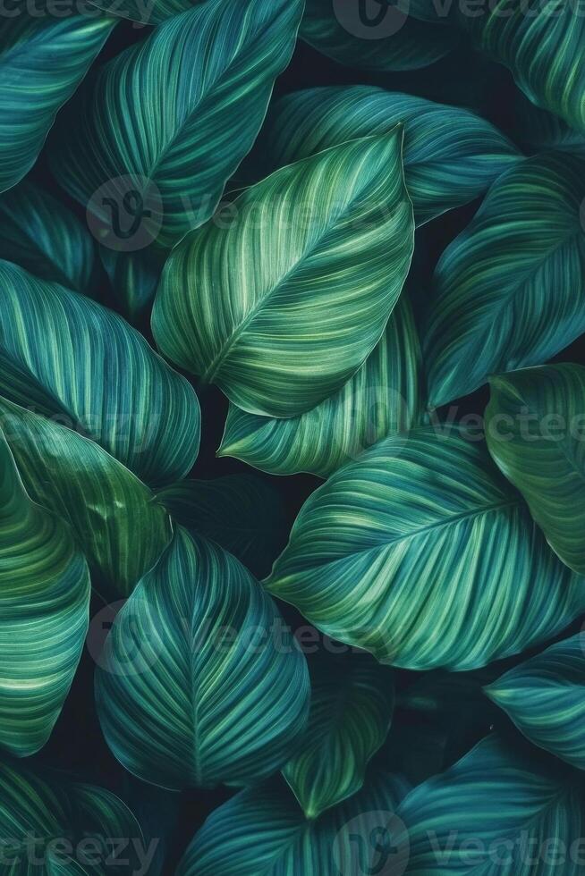 Lush green leaves with intricate patterns create vibrant, natural background. varying shades of green evoke sense of tranquility and freshness photo