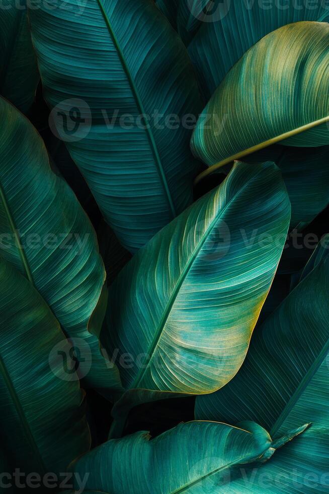 Lush green leaves with vibrant textures create calming and serene atmosphere, perfect for nature lovers and botanical enthusiasts photo