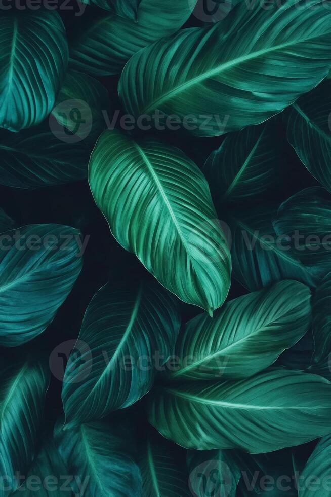 Lush green leaves with intricate textures create serene and calming background. Perfect for nature themed designs or botanical projects photo