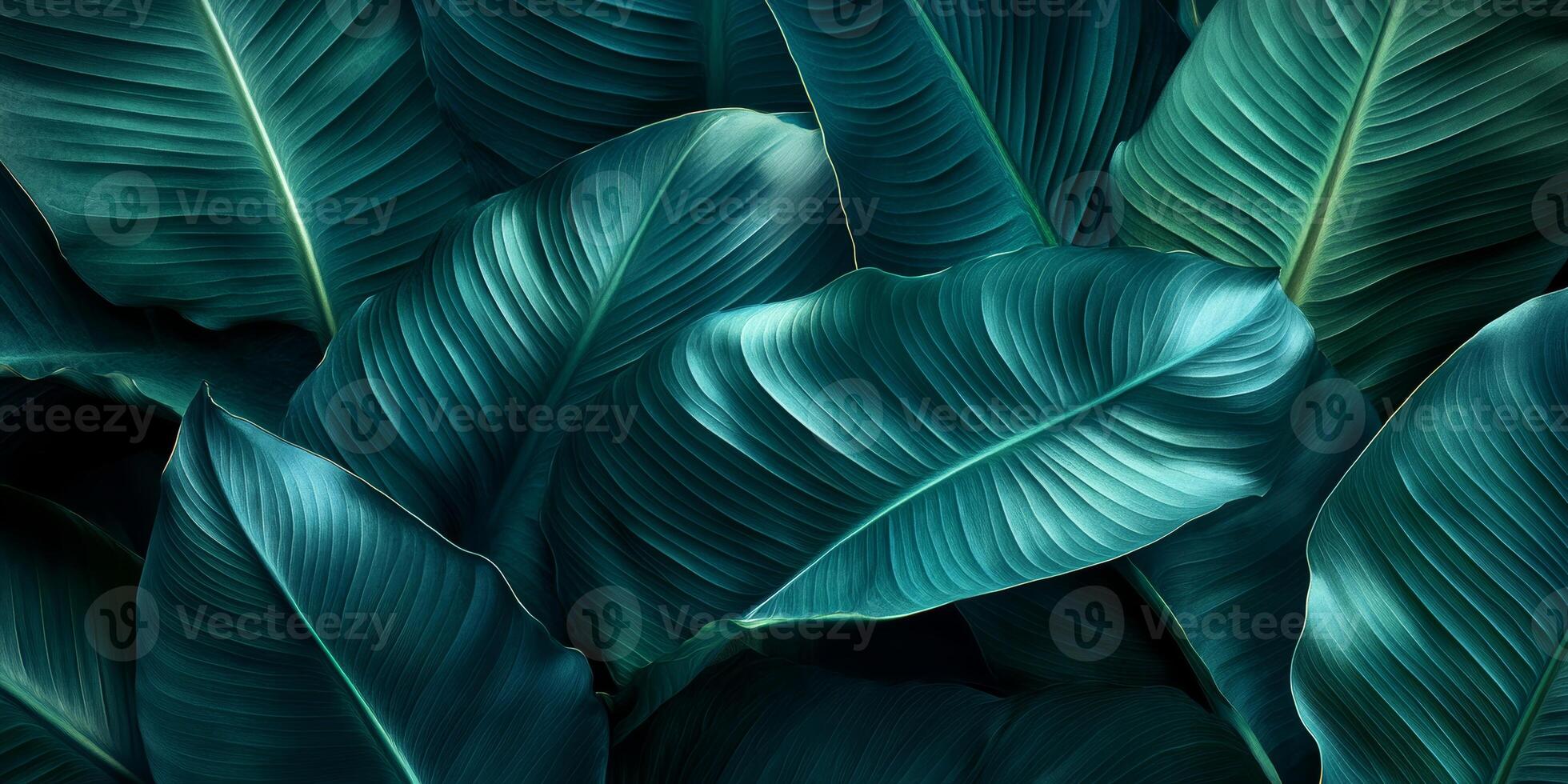 Lush green leaves create vibrant and calming background, showcasing intricate textures and shades of teal. Perfect for nature themed designs or relaxation spaces photo