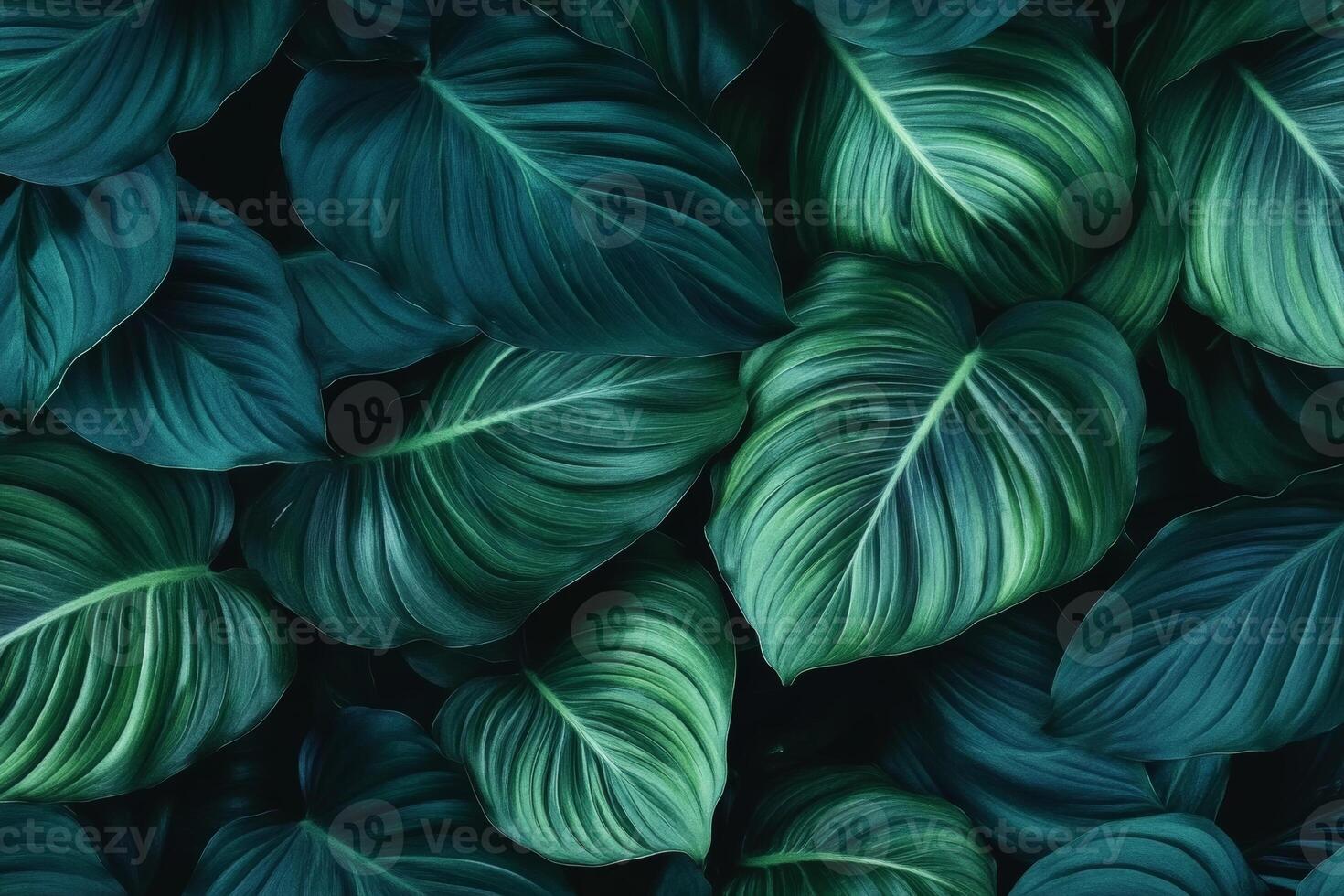 Lush green leaves create vibrant and calming background, showcasing various shades of green and intricate textures. Perfect for nature themed designs photo