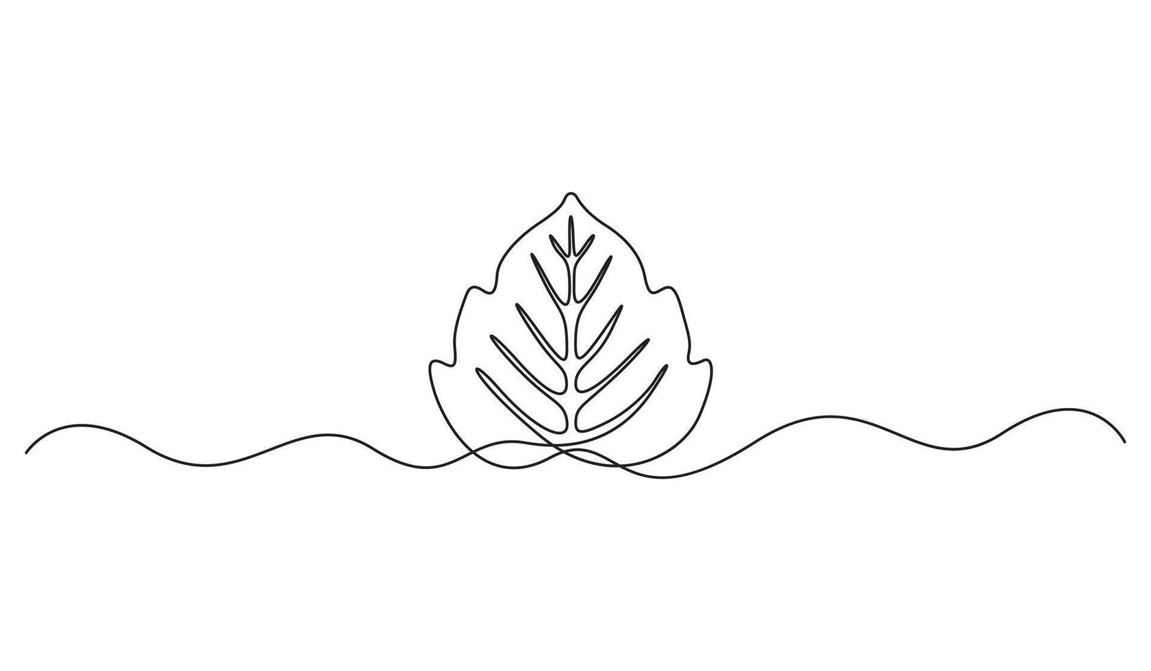 Continuous one line art drawing of a Monstera. Leaf monstera single line art. Graphic illustration vector