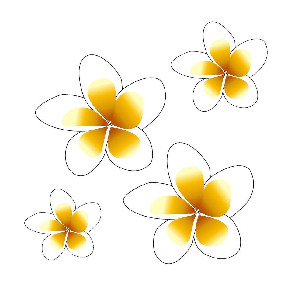 cambodjia flower pattern white background vector