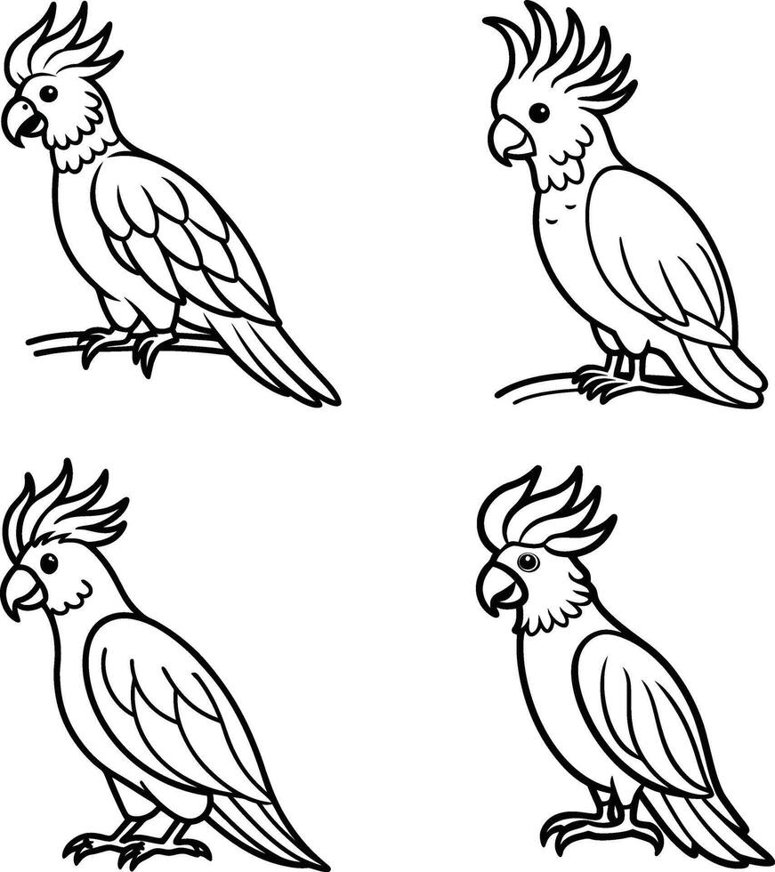 Detailed Parrot Line Art Bird Sketch Collection Coloring Page vector