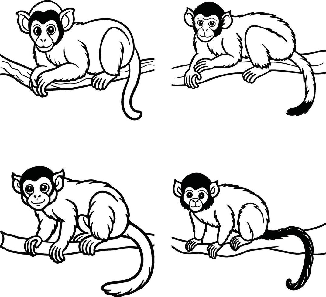 Charming and silly monkey outline illustrations for coloring vector