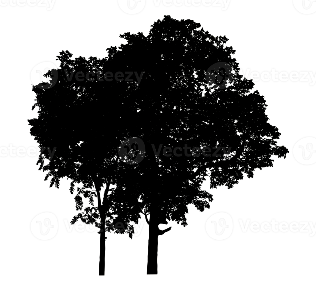 big trees silhouettetree on a transparent background png