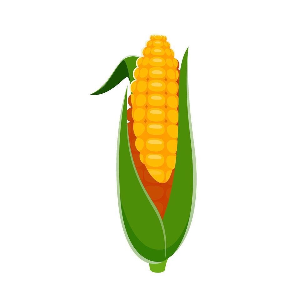 Farm font, cartoon corn vegetable typeface number vector