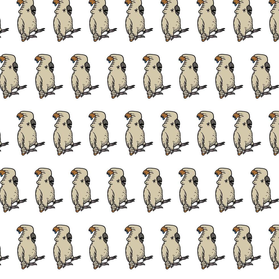 parrot pattern design vector