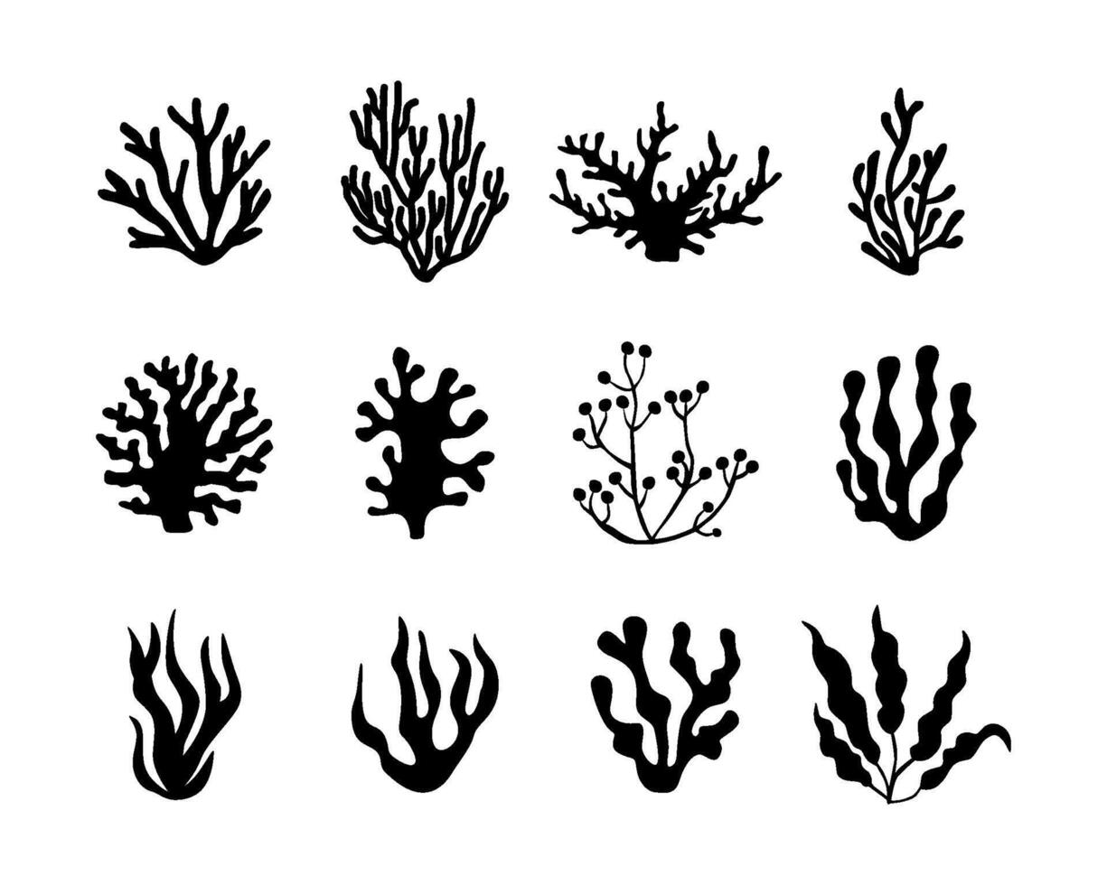 silhouette of seaweed coral and algae underwater fauna vector