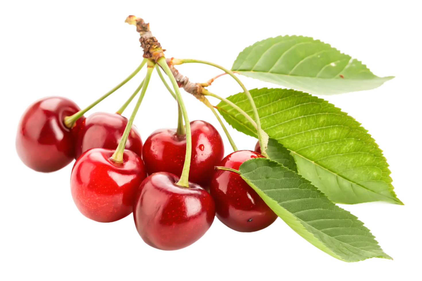 Fresh Red Cherries on Branch with Green Leaves - Juicy Summer Fruit png