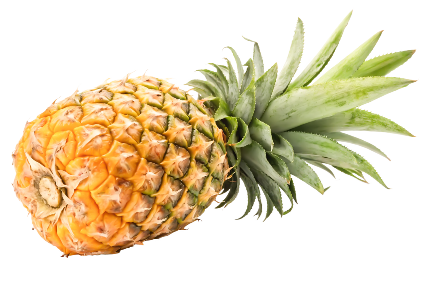 Juicy Pineapple with Green Leaves Fresh Tropical Fruit Image png