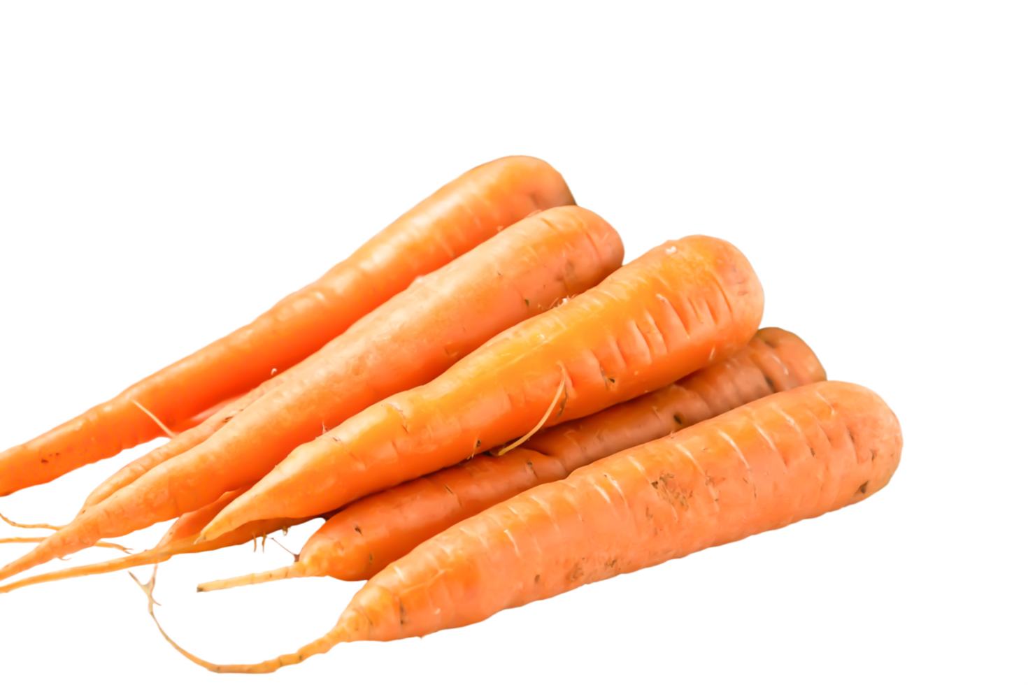 Fresh Organic Carrots High-Resolution Image of Healthy Root Vegetables png