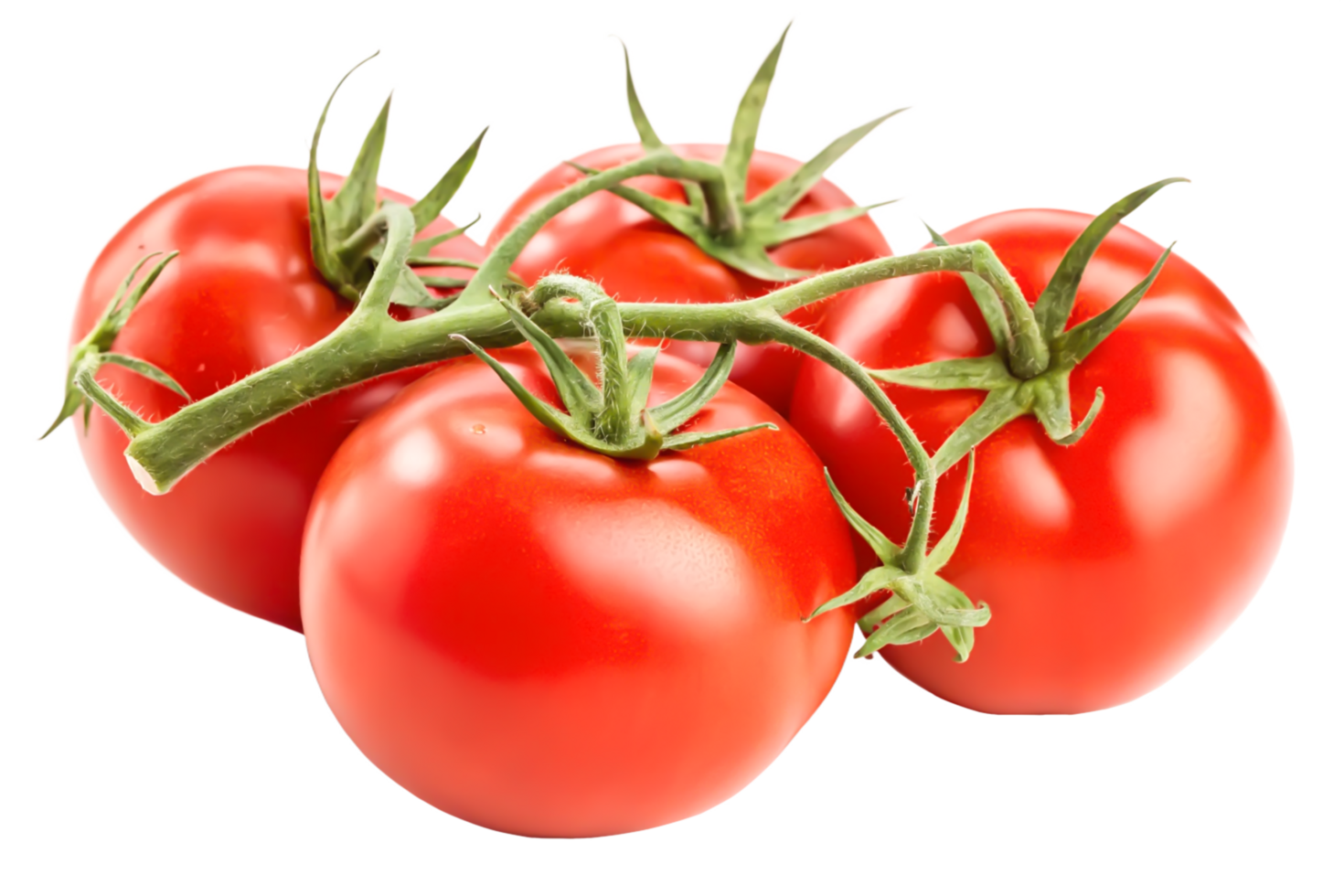 Juicy Red Tomatoes on the Vine Fresh, Ripe, and Ready to Eat png