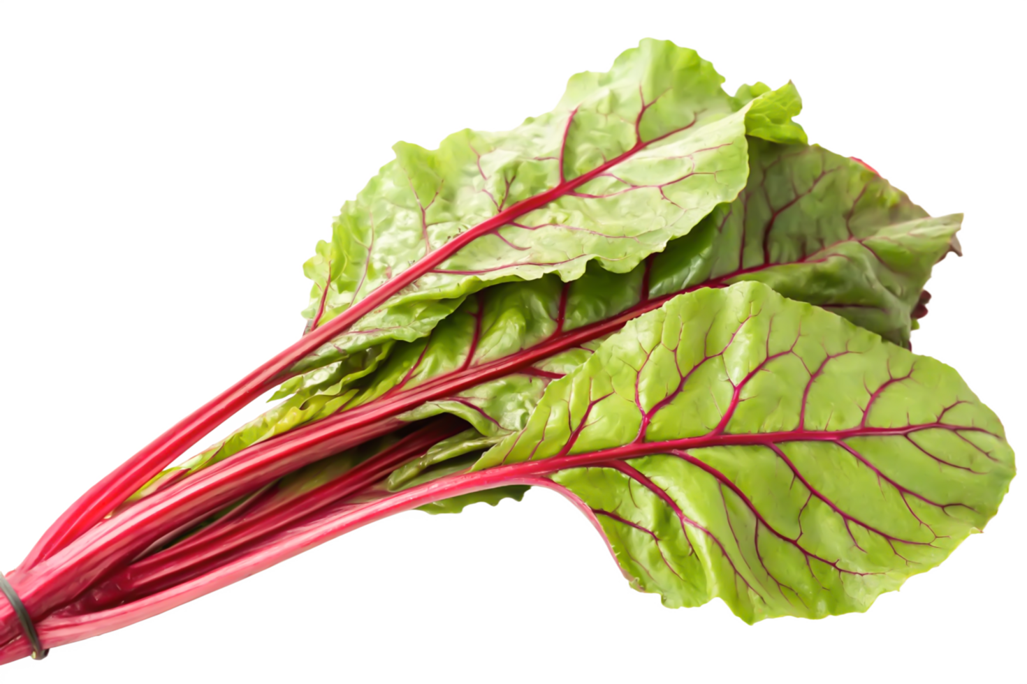 Fresh Red Chard Bunch, Vibrant Green Leaves, Healthy Food Ingredient png