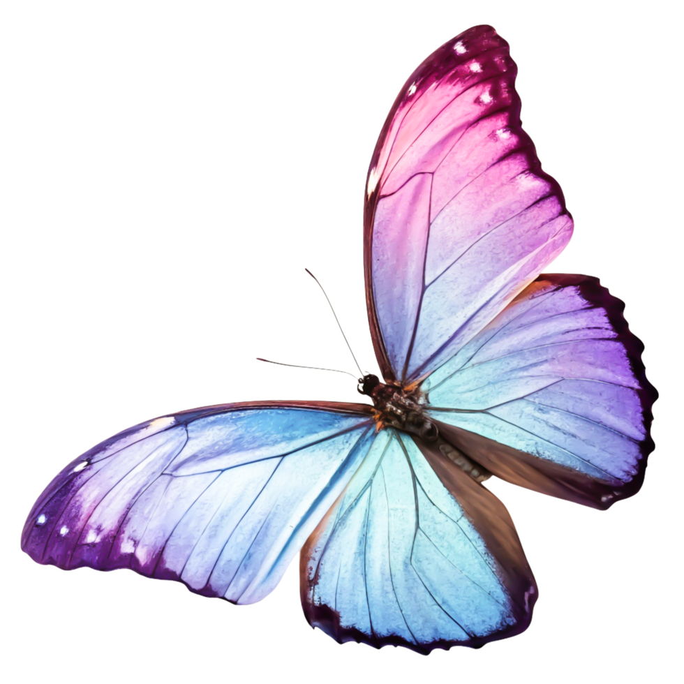 Stunning Purple and Blue Morpho Butterfly Wings Isolated on White Background png