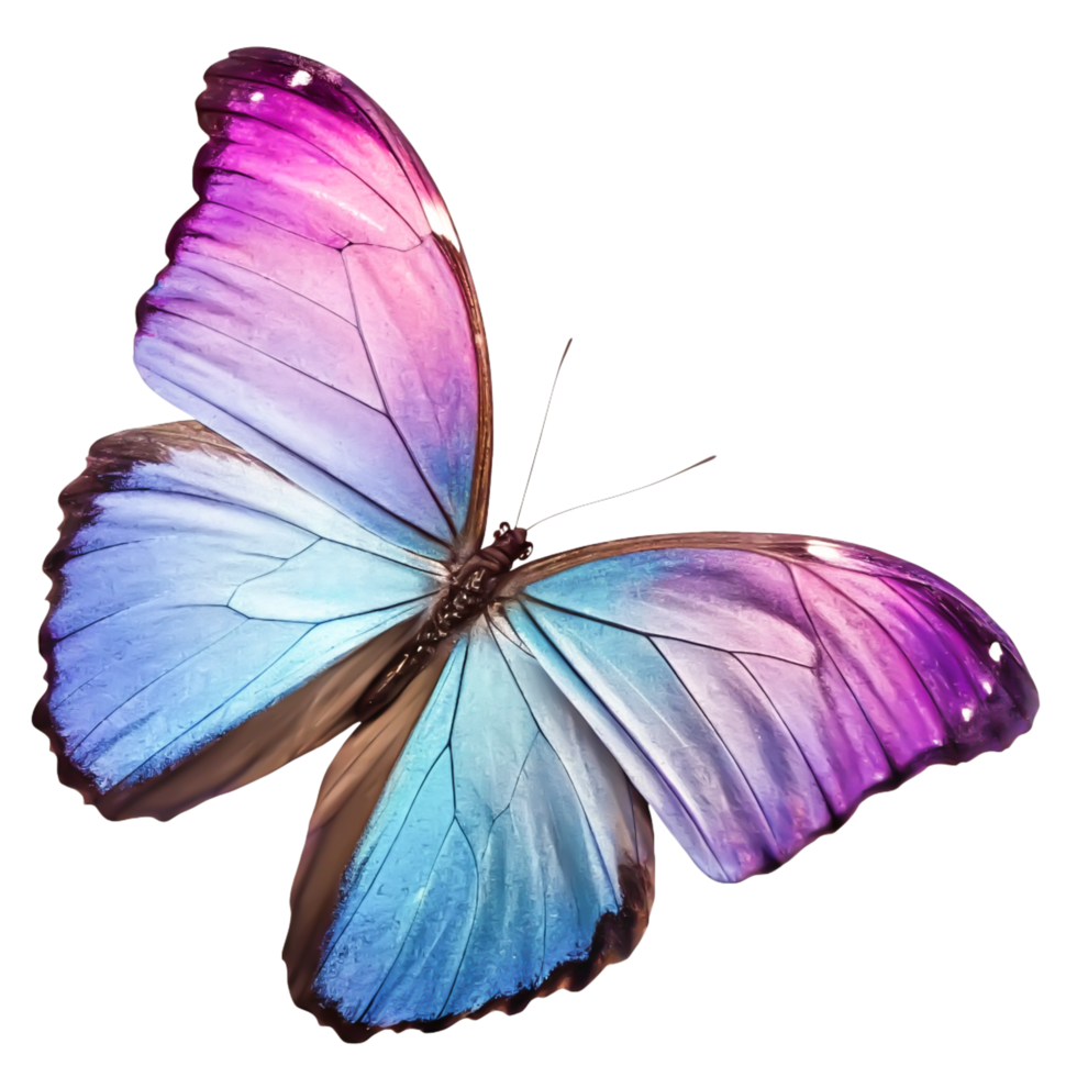 Stunning Purple and Blue Morpho Butterfly Wings, Isolated on White Background png