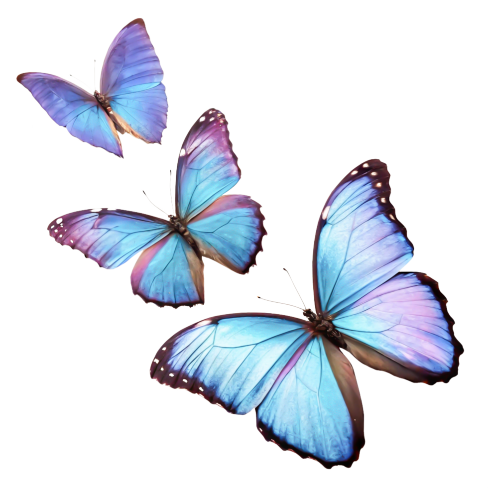 Three Vibrant Blue Morpho Butterflies in Flight, Isolated on White Background png