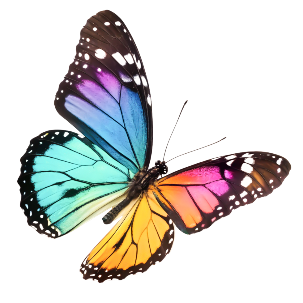 Vibrant Rainbow Butterfly Wings Isolated on White Background, High-Resolution Stock Image png