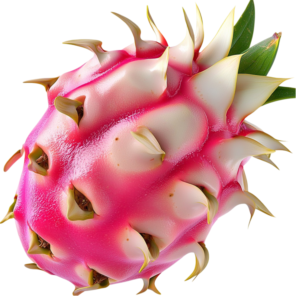 Exotic dragon fruit bright pink spiky skin juicy white flesh png