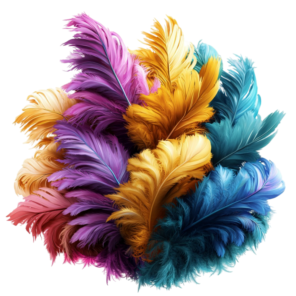 Colorful feathers arrangedistically in bright red blue yellow png