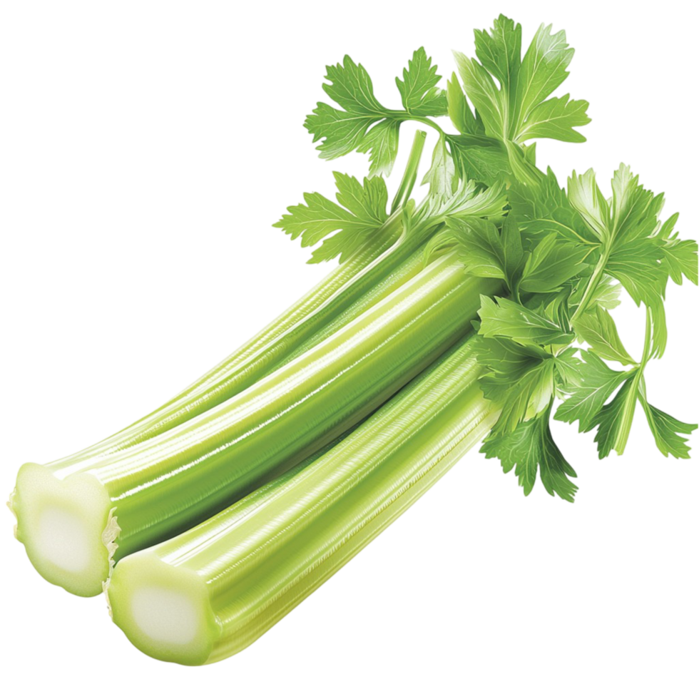 Fresh green celery stalks leafy tops looking crisp healthy perfect for nutritious meals snacks png