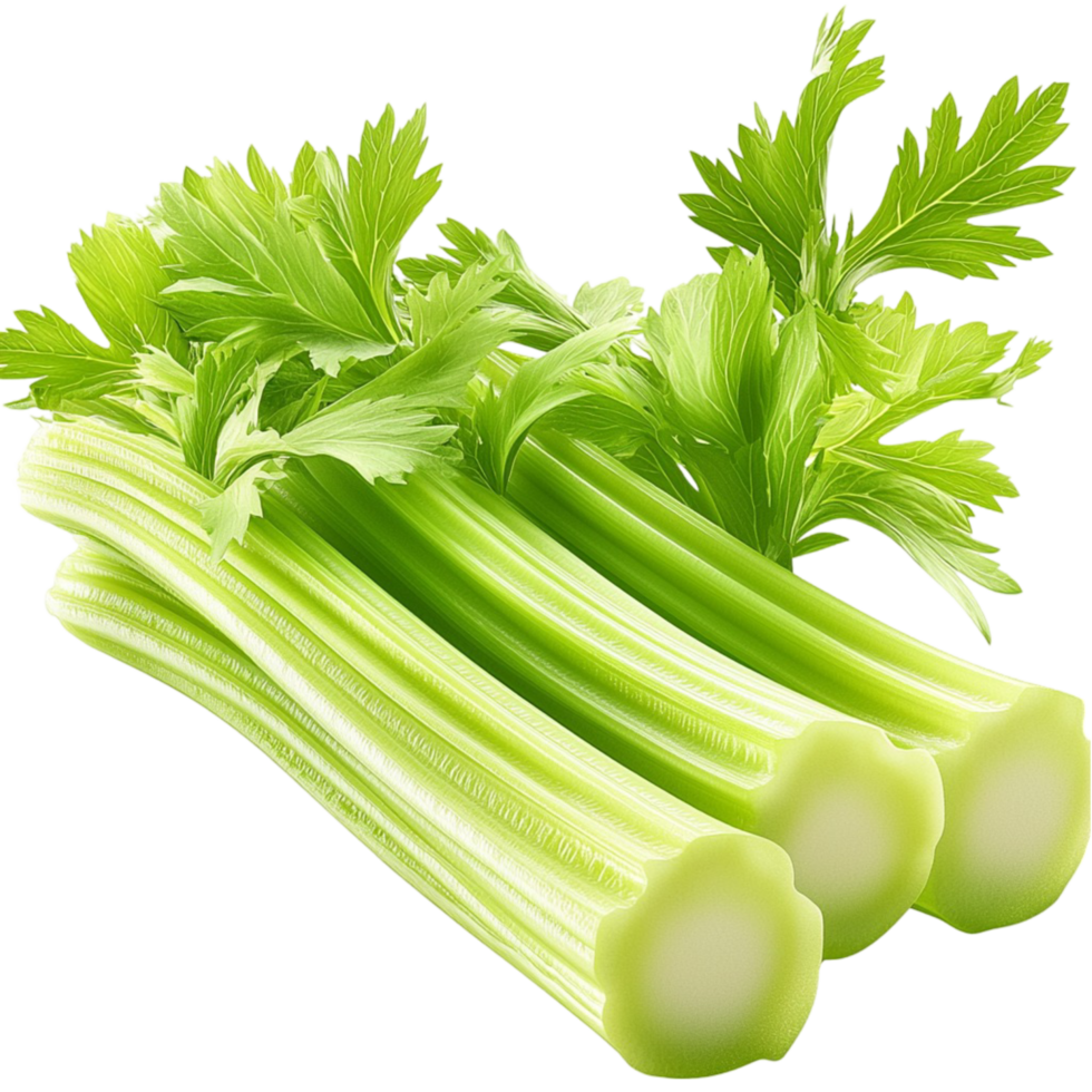Fresh green celery stalks leaves symbolizing health nutrition natural freshness png