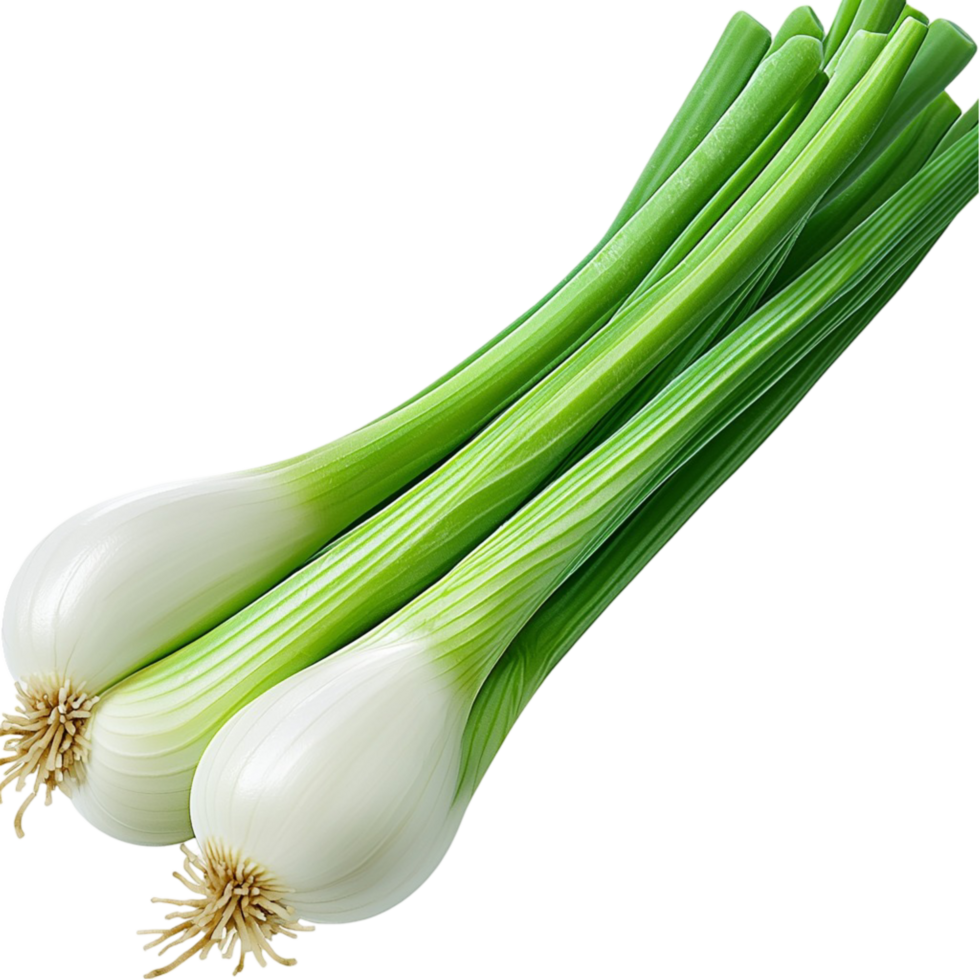Fresh green spring onions long leafy stalks looking crisp vibrant flavorful perfect for delicious culinary dishes png