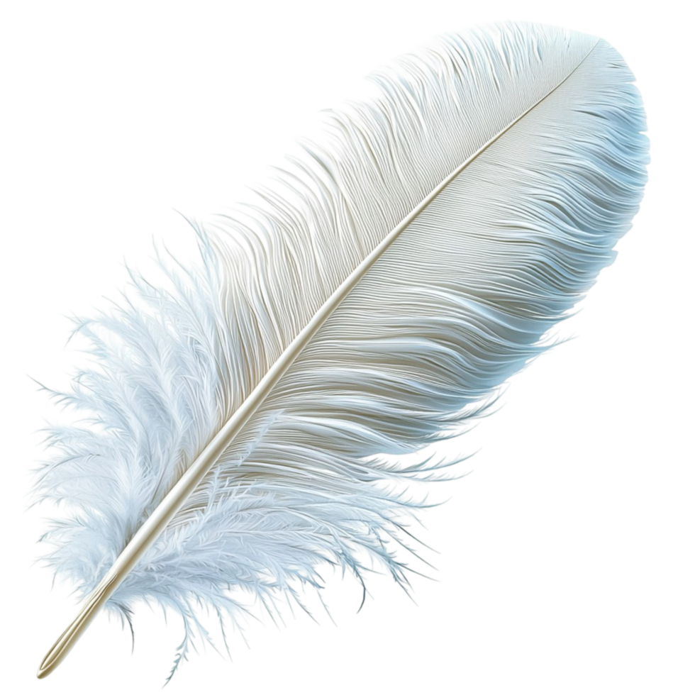 Soft white feather delicate strs symbolizing lightness elegance purity the charm of natures beauty png