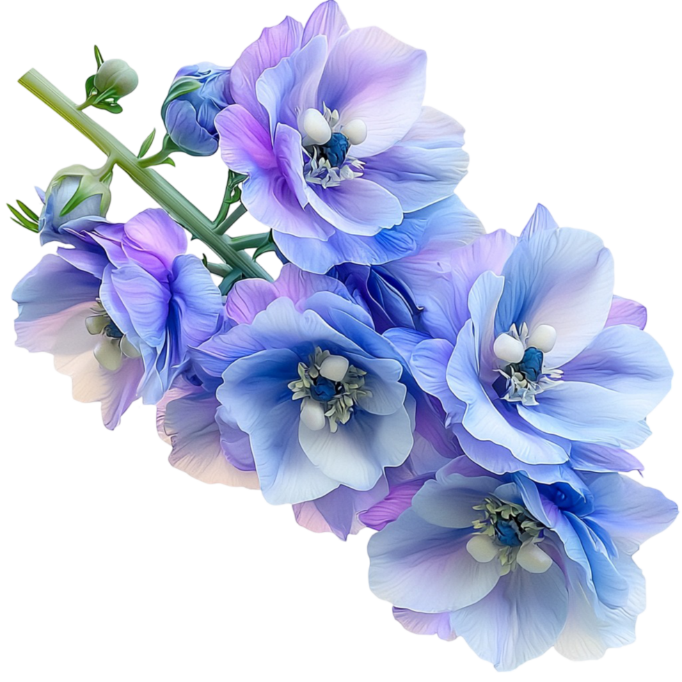 Delicate blue flowers arranged in a beautiful bouquet soft petals a fresh floral scent png