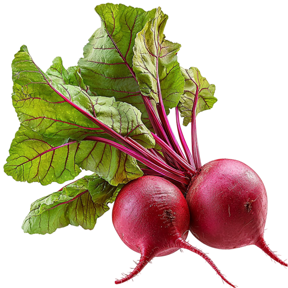 Whole fresh red beets green leaves used for salads soups nutritious meals daily png