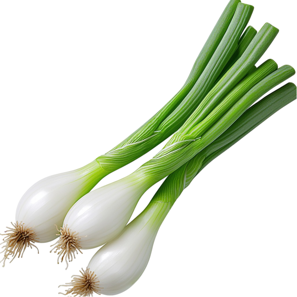 Green onions with fresh leaves and white bulbs arranged neatly on a white clean png