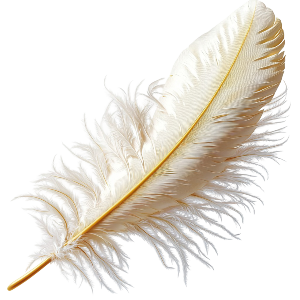 Fluffy white feather floating gracefully symbolizing purity softness elegance and the lightness of natures delicate elements png