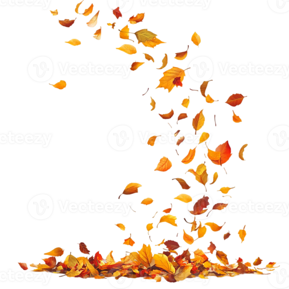 Falling autumn leaves isolated, white background, perfect for design projects png